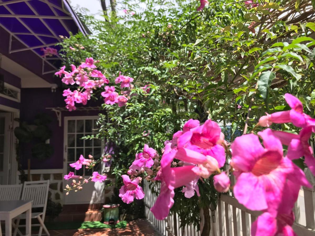 Nha Tim Homestay Νταλάτ Εξωτερικό φωτογραφία