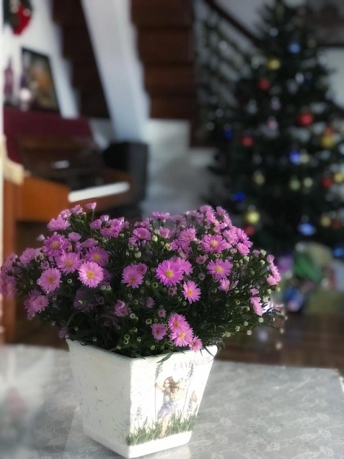 Nha Tim Homestay Νταλάτ Εξωτερικό φωτογραφία